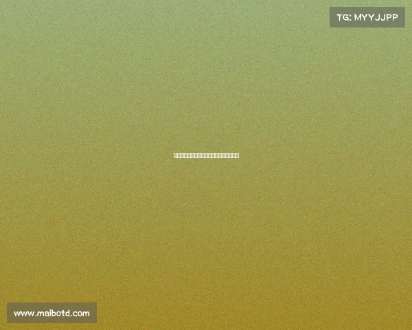 斯图加特完美应对客场压力，收获宝贵三分